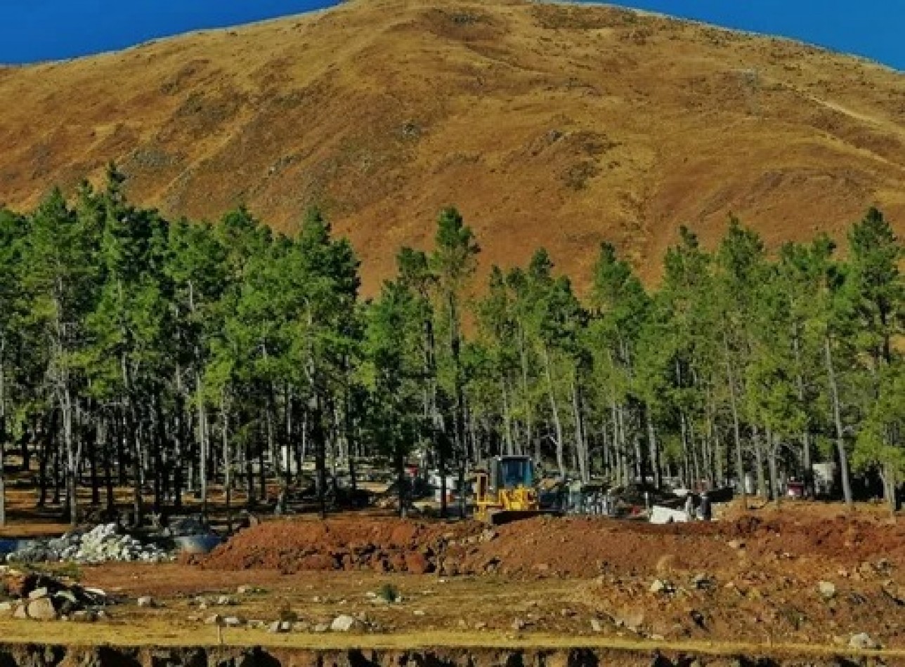 Venta Lote Pinar de los Ciervos