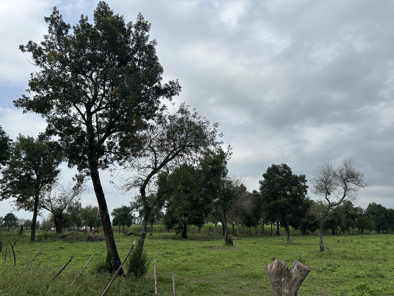 VENTA DE LOTE - SAN PABLO PARA EMPRENDIMIENTO