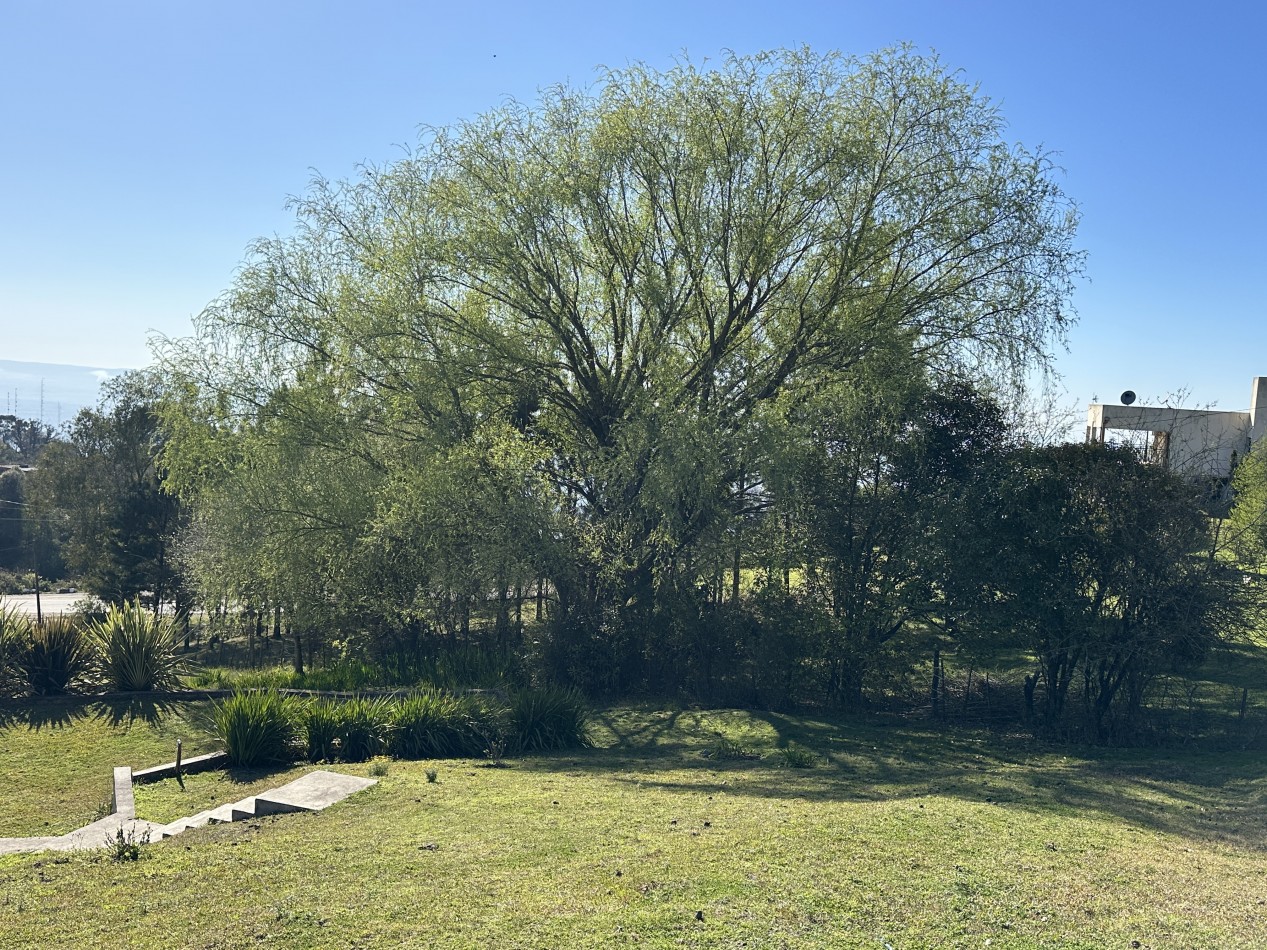 Lote en venta en San Javier 