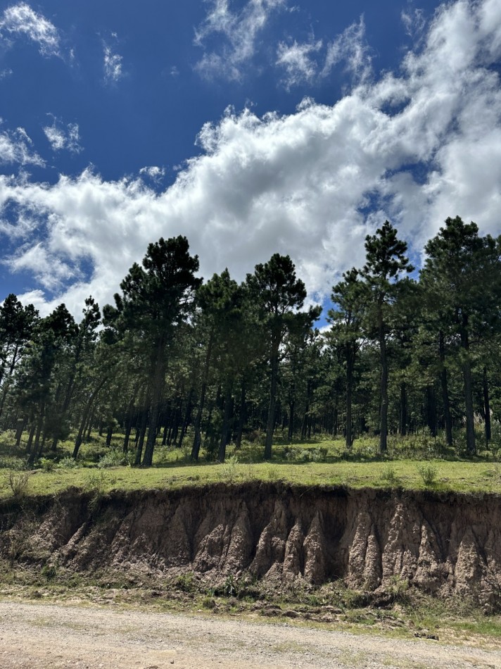 Venta Lote Pinar de los Ciervos