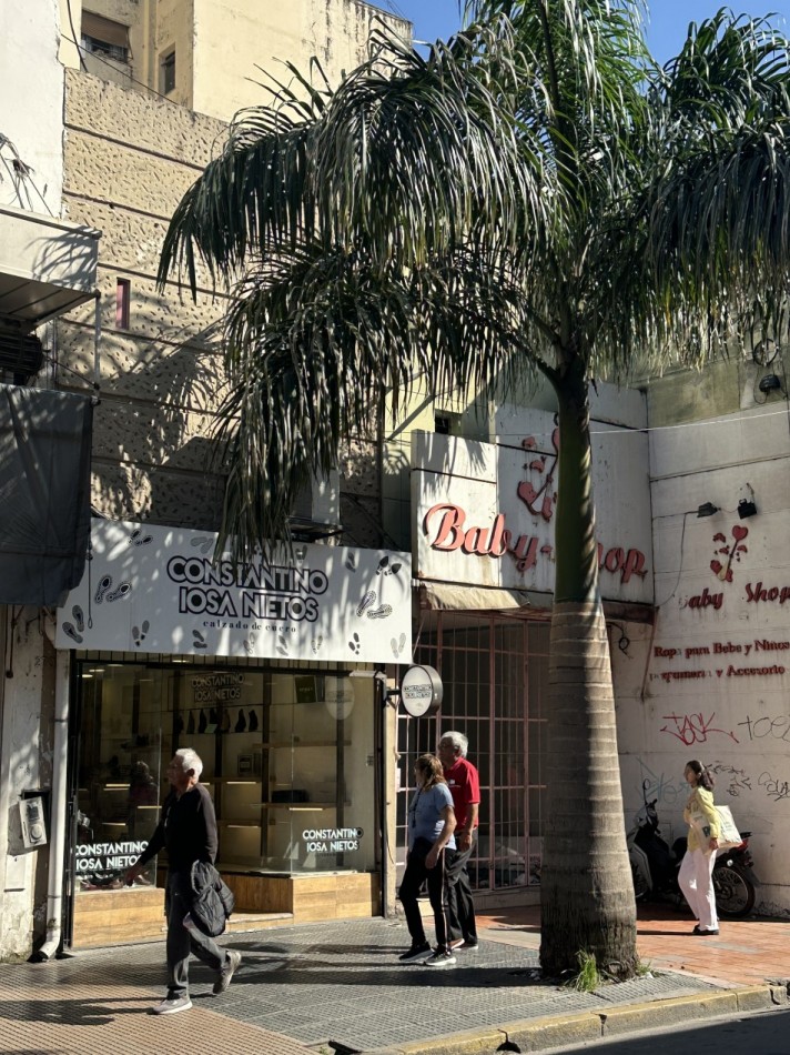 VENTA LOCAL COMERCIAL MAIPU 291