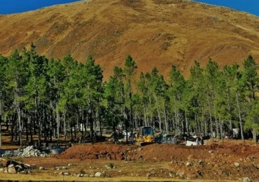Venta Lote Pinar de los Ciervos